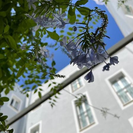 Hotel San Miguel Menorca Maó Exterior foto
